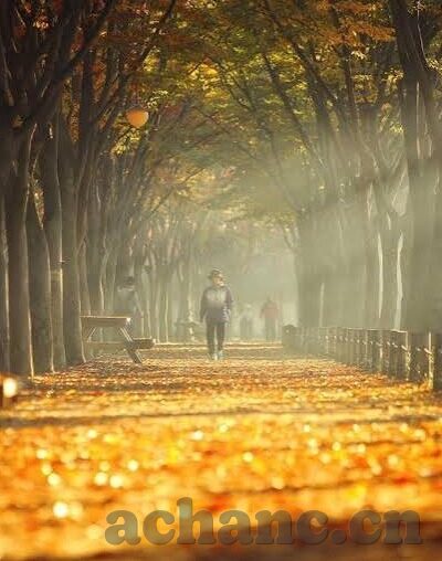 果冻传媒介绍-果冻传媒，创意与娱乐的交融平台