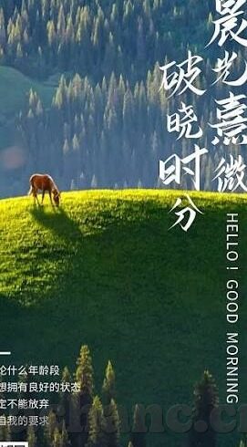 麻豆app电脑版-麻豆app，电脑版体验解锁无限创意乐趣