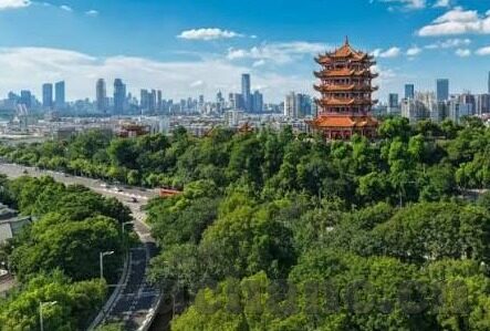 麻豆精品传媒app下载-麻豆精品传媒APP，创意与内容并存的下载体验