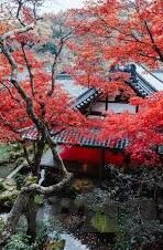 日本无码国产一区二区-探索日本成人影视的多元文化视角