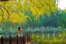 亚洲蜜桃麻豆成人av在-